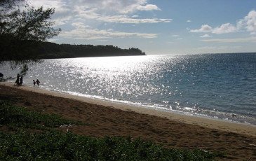 Tour Image